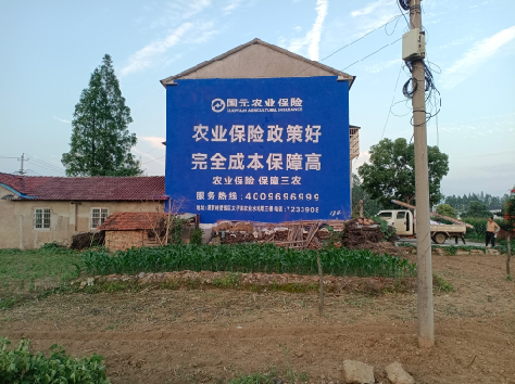 河池墙体广告的优劣势你知道吗？